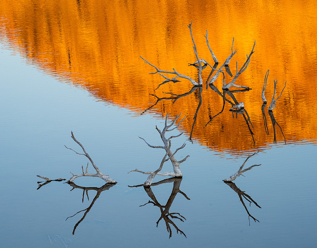 © Scott Atkinson | Backwater