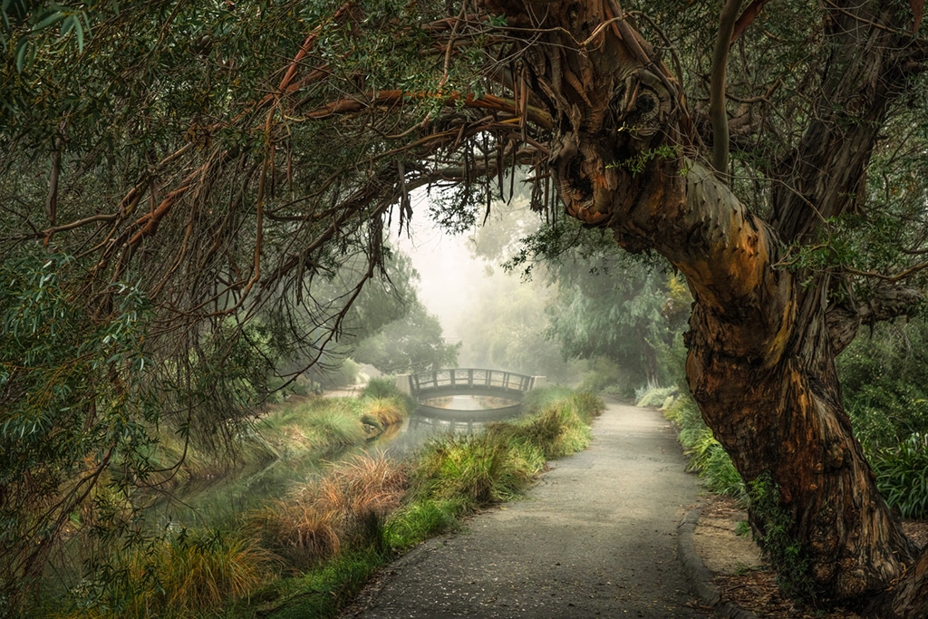 © Beth Savidge | Magical Arboretum