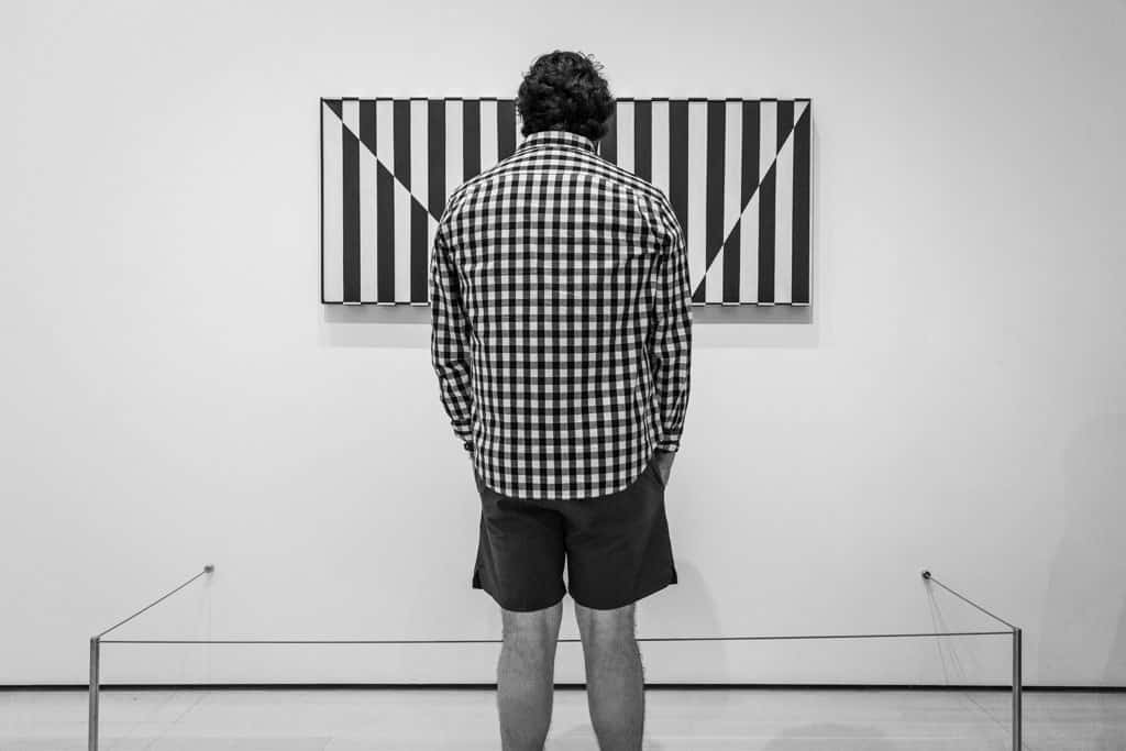 Man in Checked Shirt, Museum of Modern Art, New York City, 2023