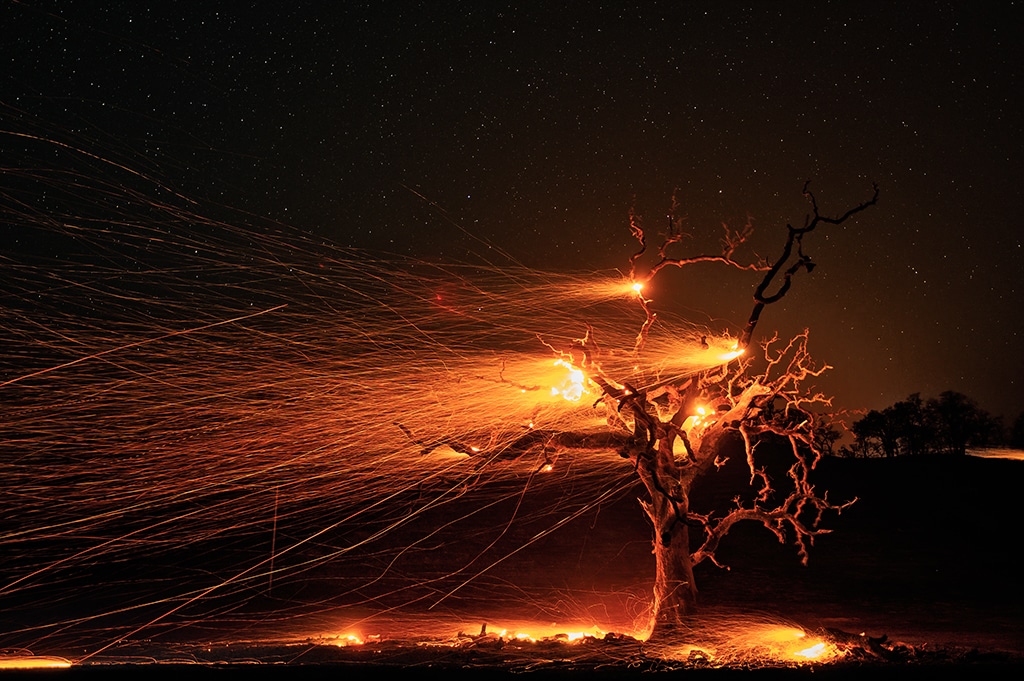 Winds blowing through the branches of an oak tree light up the sky during a time exposure at the Kincade fire in Sonoma County on Tuesday, October 29, 2019. The Kincade Fire has burned 75,415 acres and is 15% contained.