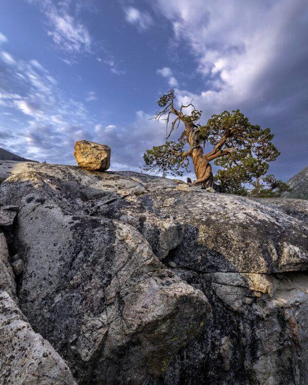 At Home Among Rocks