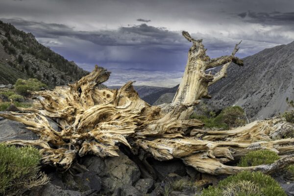 Weathering Like the Rocks